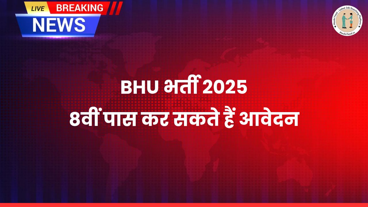 BHU Program Assistant and Safaikarmchari Recruitment 2025